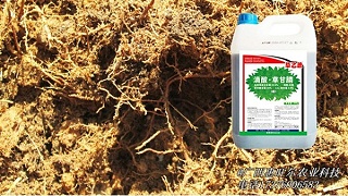 滴酸•草甘膦在土壤中的残留期长吗