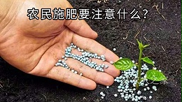 农民施肥要注意的十个细节-惠旺尔肥料