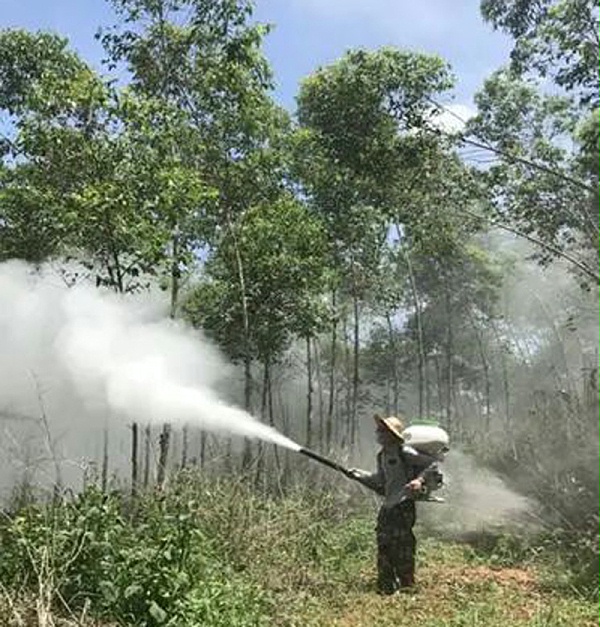 尺蛾化学防治