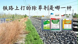 铁路上打的除草剂是哪一种-铁路专用除草剂生产厂家电话